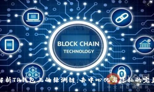 深入解析TP钱包上的绿洲链：去中心化与隐私的完美结合