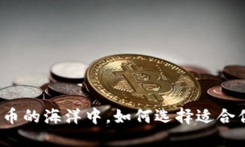 在虚拟货币的海洋中，如何选择适合你的钱包？
