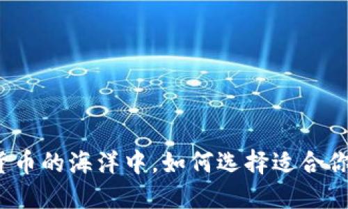 在虚拟货币的海洋中，如何选择适合你的钱包？