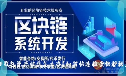 TP钱包资产被盗怎么办？如何快速报案维护权益
