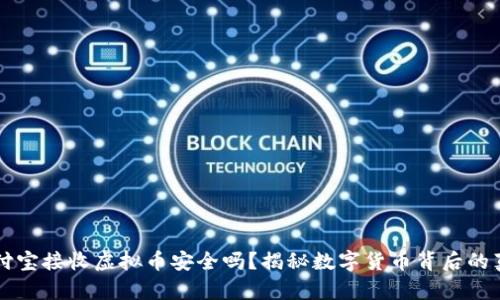 支付宝接收虚拟币安全吗？揭秘数字货币背后的真相