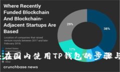 全面解析：在国内使用T