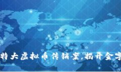 南阳警方破获特大虚拟币