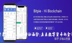 揭开麦肯虚拟币的神秘面