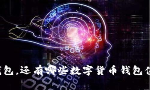 除了TP钱包，还有哪些数字货币钱包值得推荐？