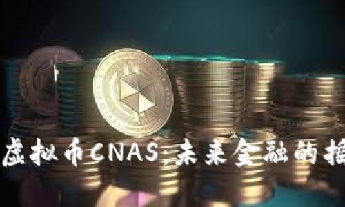 深入了解虚拟币CNAS：未来金融的摇篮与挑战