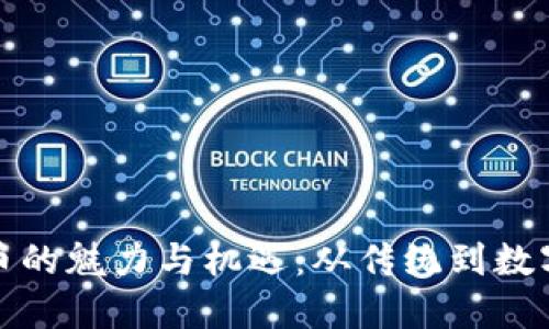 探索京西虚拟币的魅力与机遇：从传统到数字化的金融转型