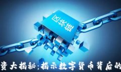 虚拟币投资大揭秘：揭示